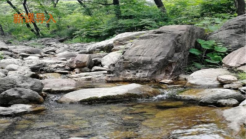 部编版语文八年级下册 10 小石潭记 课件第3页