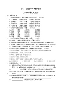 河南省郑州市2021-2022学年九年级上学期期中语文试题（word版 含答案）