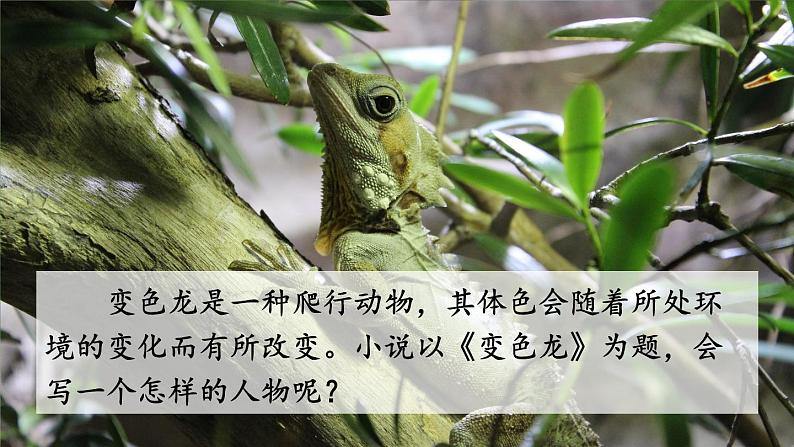 部编版语文九年级下册 6 变色龙 课件第2页