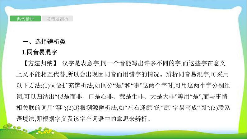 中考语文复习专题二汉字的书写与运用优质课件PPT第3页