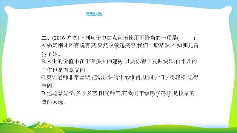 人教版部编版中考语文总复习4词语运用完美课件PPT第4页