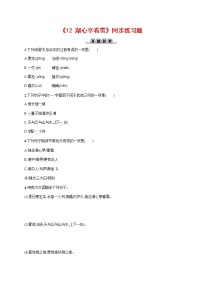 初中语文人教部编版九年级上册13* 湖心亭看雪同步达标检测题