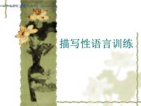 描写性语言训练课件PPT