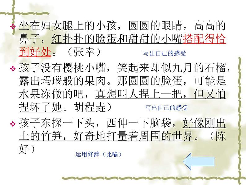 描写性语言训练课件PPT第8页