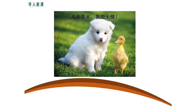 2写作指导-学习抒情课件PPT第2页