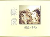 12.                蒹葭课件PPT