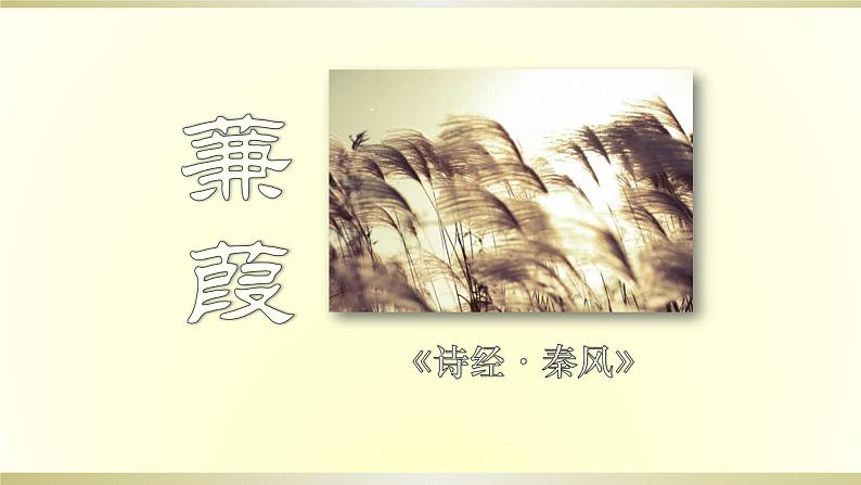 12.                蒹葭课件PPT第1页