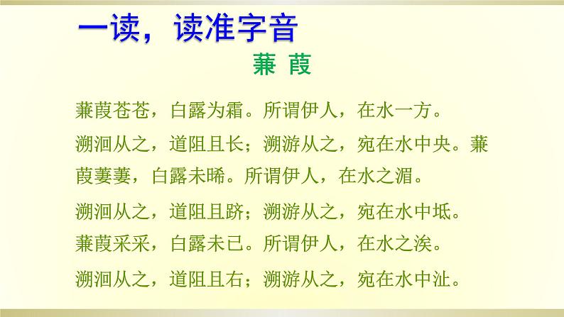 12.                蒹葭课件PPT第7页