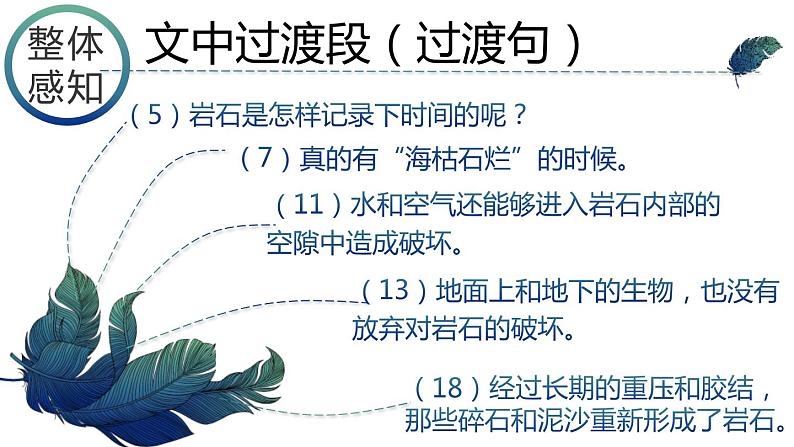 8.     时间的脚印课件PPT第8页