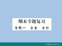 部编版语文七年级上册  专题一 字音  字形课件PPT