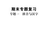 部编版语文七年级上册  专题一 拼音与汉字课件PPT
