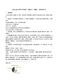 2021-2022学年中考语文一轮复习：专题九  综合性学习