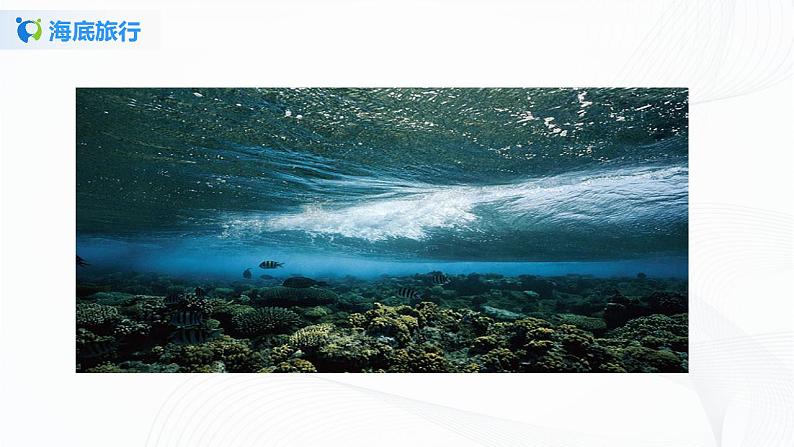 《海底两万里》第二课时课件+教案08