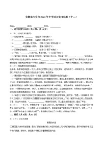 安徽省六安市2021年中考语文复习试卷（十二）（含答案）