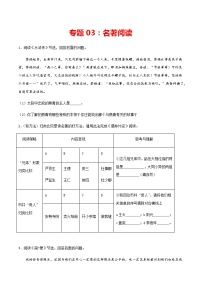专题03：名著阅读-2021-2022学年九年级语文上学期期末专项复习（部编版）