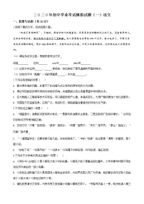 精品解析：2020年山东省枣庄市中考一模语文试题