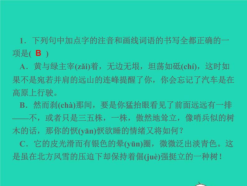 2021秋八年级语文上册第四单元15白杨礼赞习题课件新人教版02