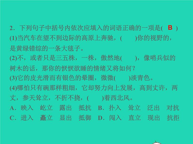 2021秋八年级语文上册第四单元15白杨礼赞习题课件新人教版04