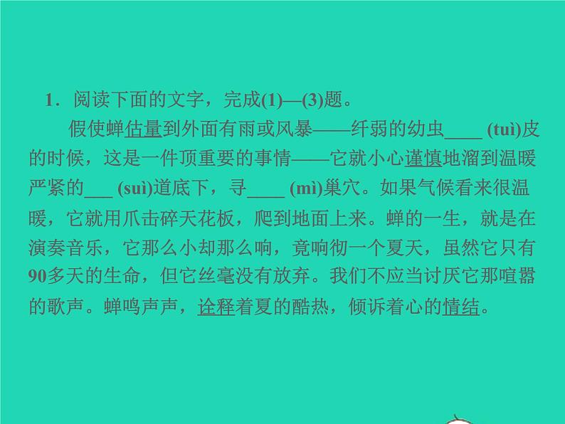 2021秋八年级语文上册第五单元21蝉习题课件新人教版02
