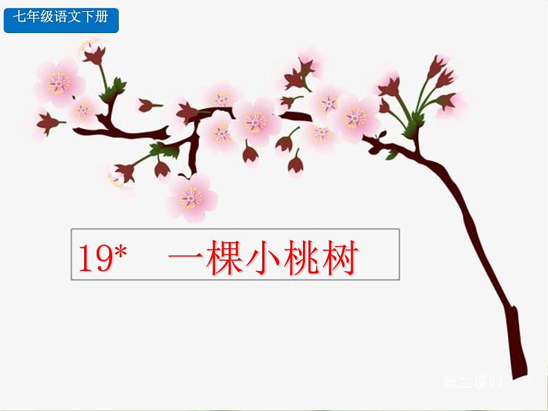 部编版语文七年级下册 19.一颗小桃树 课件第1页