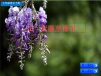 2021学年第五单元18 紫藤萝瀑布优质习题ppt课件