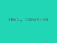 2021秋七年级语文上册专题复习二词语的理解与运用习题课件新人教版