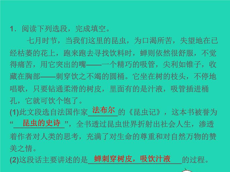2021秋八年级语文上册名著导读(二)昆虫记科普作品的阅读习题课件新人教版02