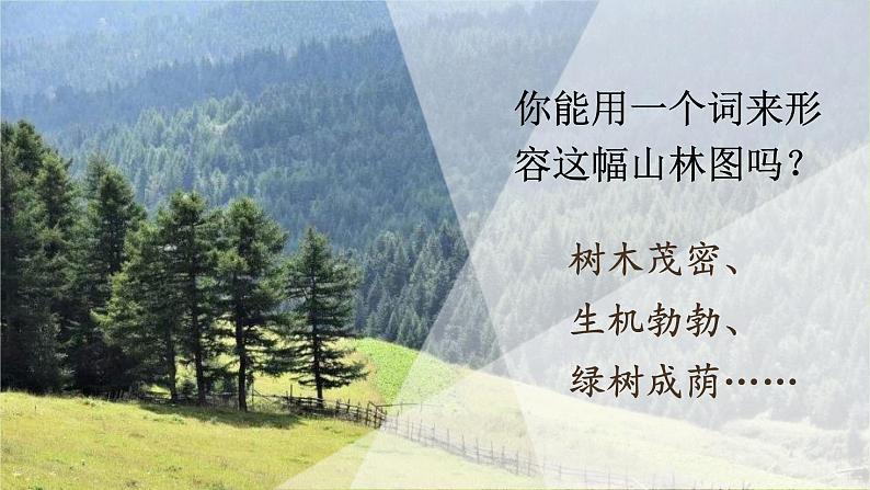 19青山不老课件——语文六年级下册人教部编版（五四制）02