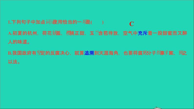 2021中考语文专题二词语标点课件第2页