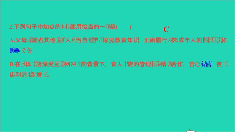 2021中考语文专题二词语标点课件第4页