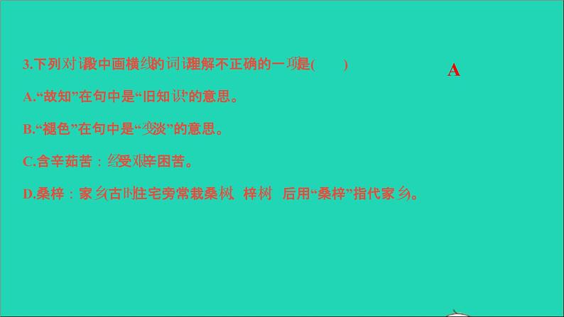 专题一　字音、字形第6页