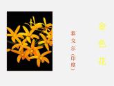 金色花免费PPT课件下载