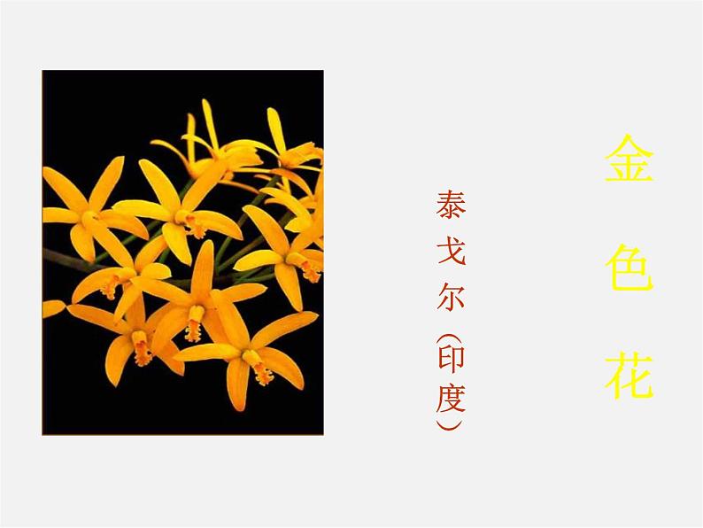 金色花免费PPT课件下载02