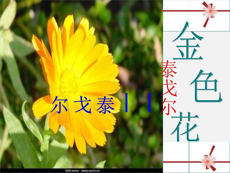 金色花免费PPT课件下载05