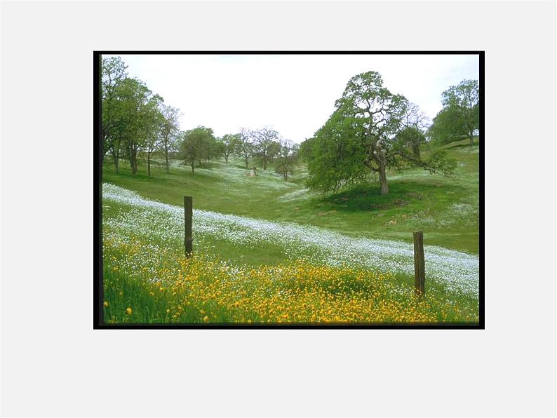 人教初中语文七上《11春》PPT课件 (1)第4页