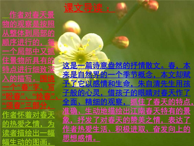 人教初中语文七上《11春》PPT课件 (20)07