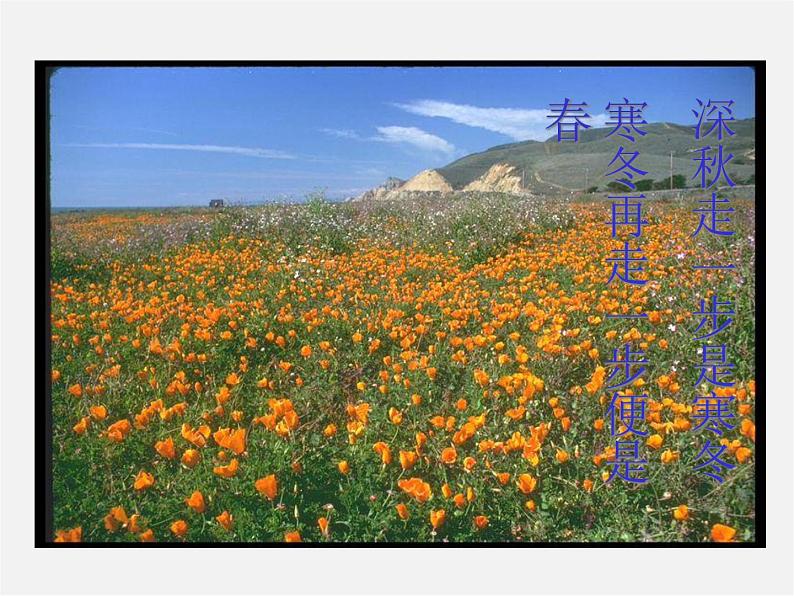 人教初中语文七上《17走一步，再走一步》PPT课件 (9)第4页