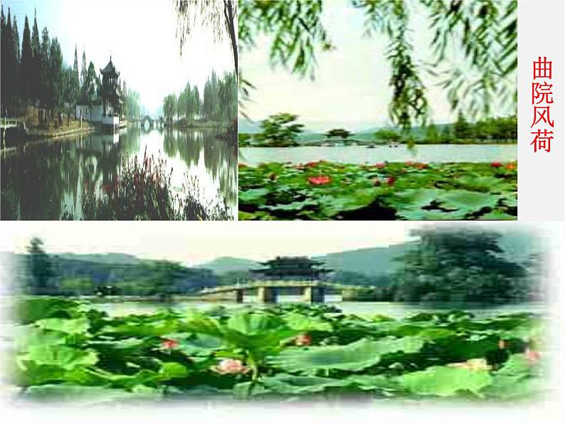 人教初中语文七上《11春》PPT课件 (16)第4页