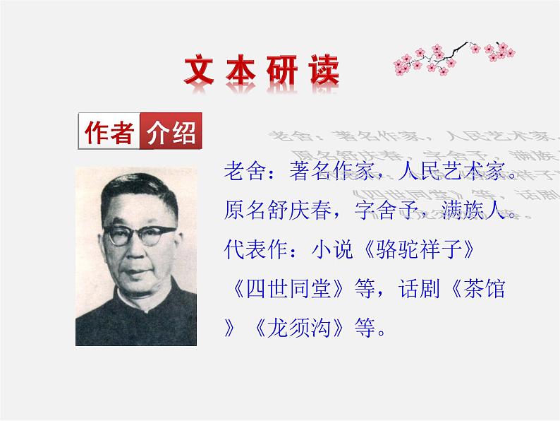 人教初中语文七上《12济南的冬天》PPT课件 (12)第5页
