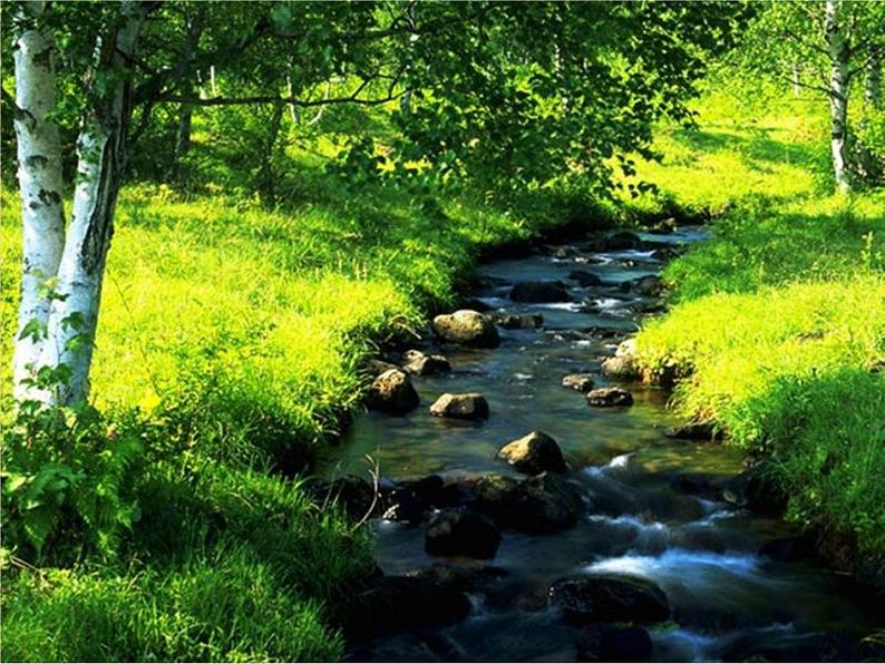 人教初中语文七上《11春》PPT课件 (15)第2页