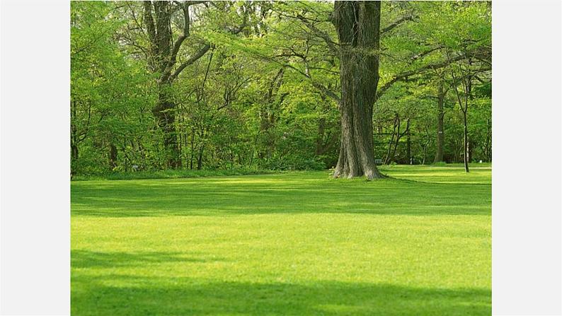 人教初中语文七上《11春》PPT课件 (13)第2页