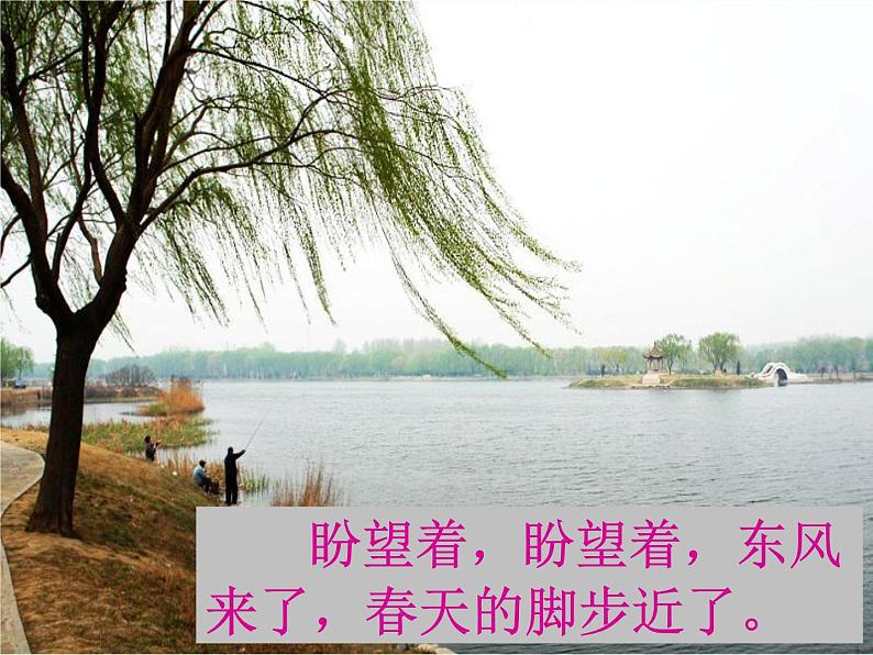 人教初中语文七上《11春》PPT课件 (12)第4页