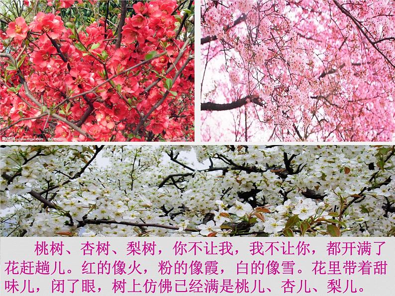 人教初中语文七上《11春》PPT课件 (12)第8页