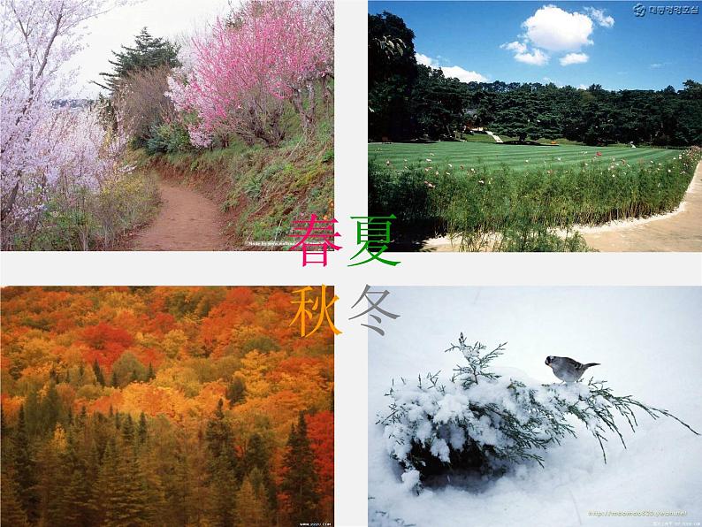 人教初中语文七上《11春》PPT课件 (19)第1页