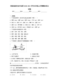 河南省焦作市中站区2020-2021学年九年级上学期期末语文试题（word版 含答案）