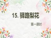 15.驿路梨花 PPT课件+教案