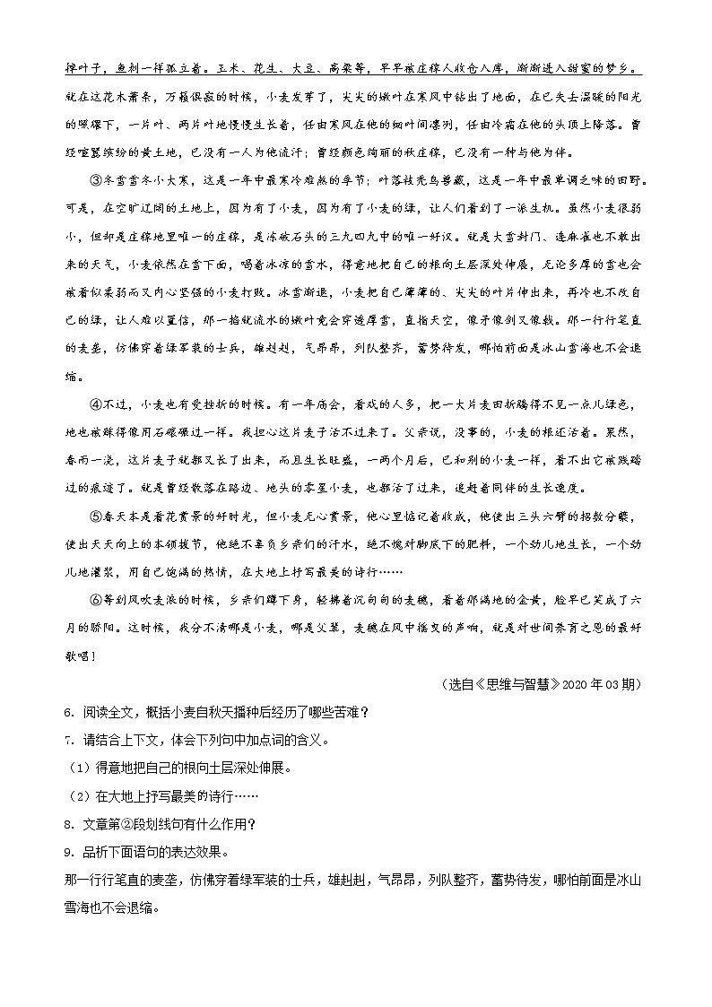 2020年安徽省合肥市包河区中考一模语文试题及答案03