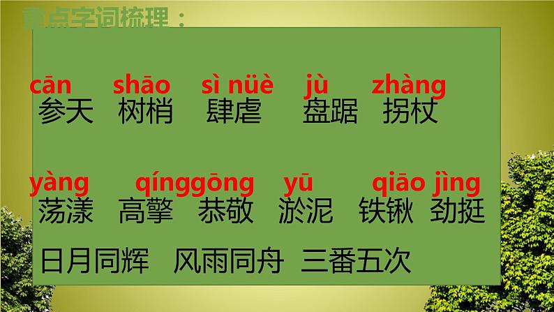 第19课《青山不老》课件（共24张PPT）2021—2022学年部编版（五四学制）语文六年级下册第5页