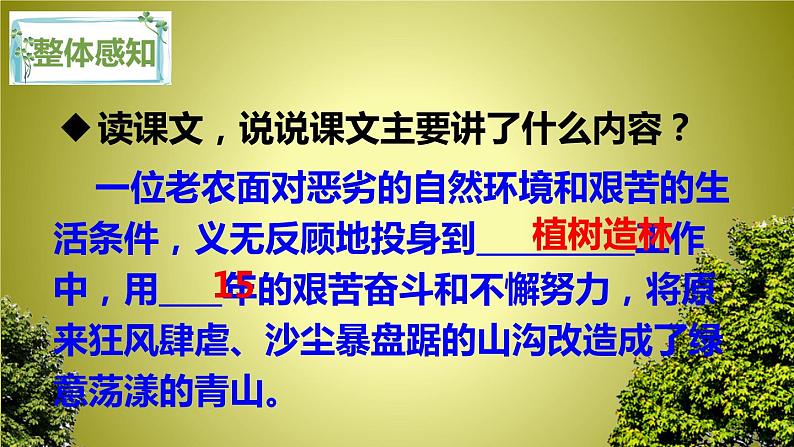 第19课《青山不老》课件（共24张PPT）2021—2022学年部编版（五四学制）语文六年级下册第7页