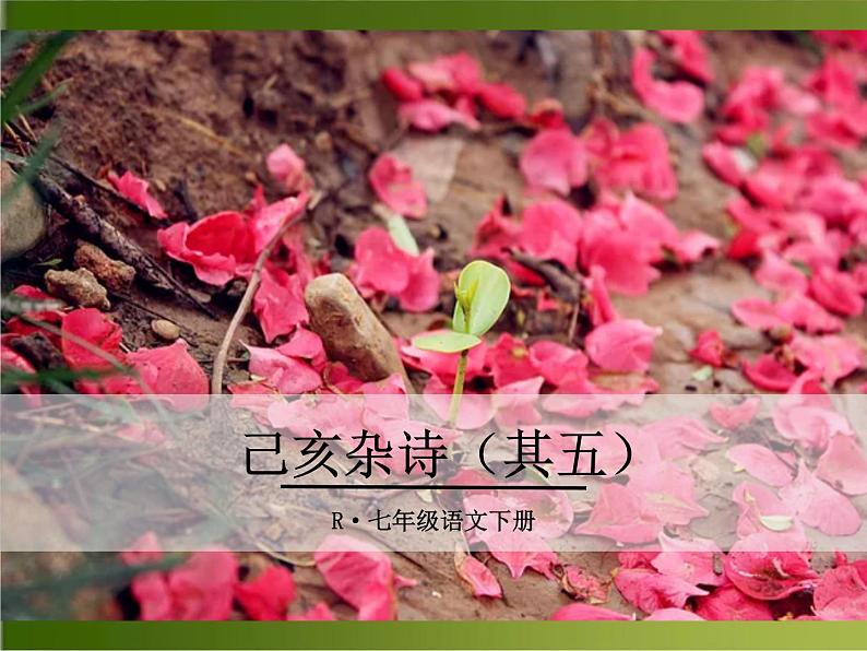 第21课《己亥杂诗》课件（23张PPT）   2021-2022学年部编版语文七年级下册第2页